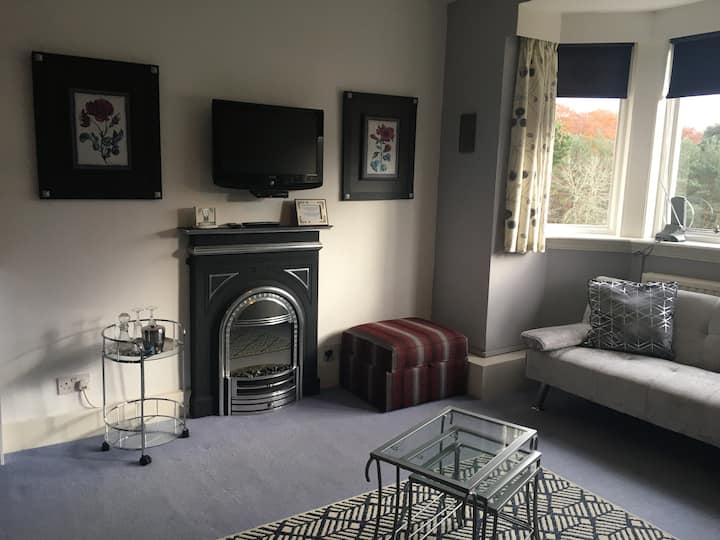 Დასაჯდომი სივრცე ელექტრო ცეცხლით და კედელზე მიმაგრებული ტელევიზორით