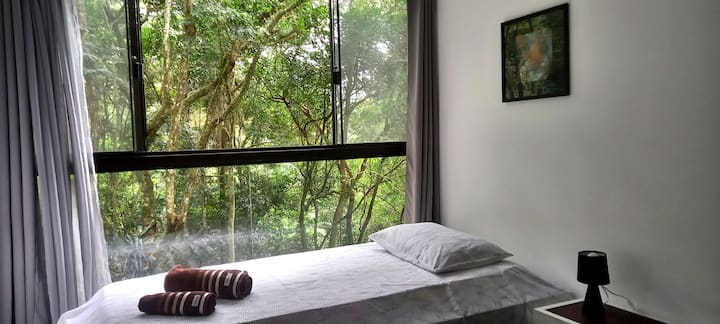 Jumatano N°2 inayoangalia msitu wa asili