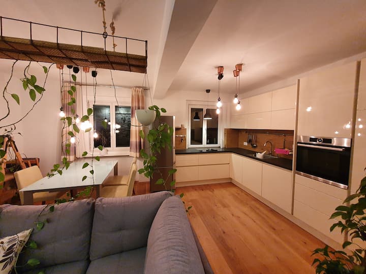 Classy apartment near the old town center Apartments for Rent in Graz