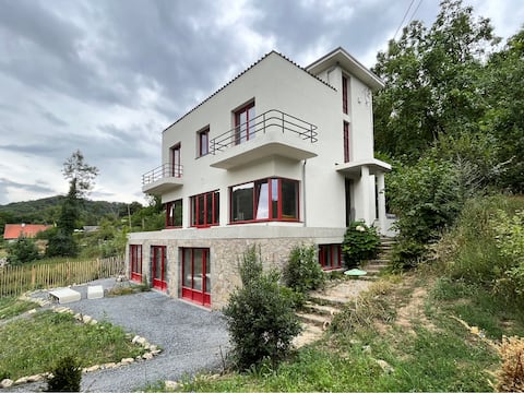 Villa Michaux, modernist pearl on the Maas.