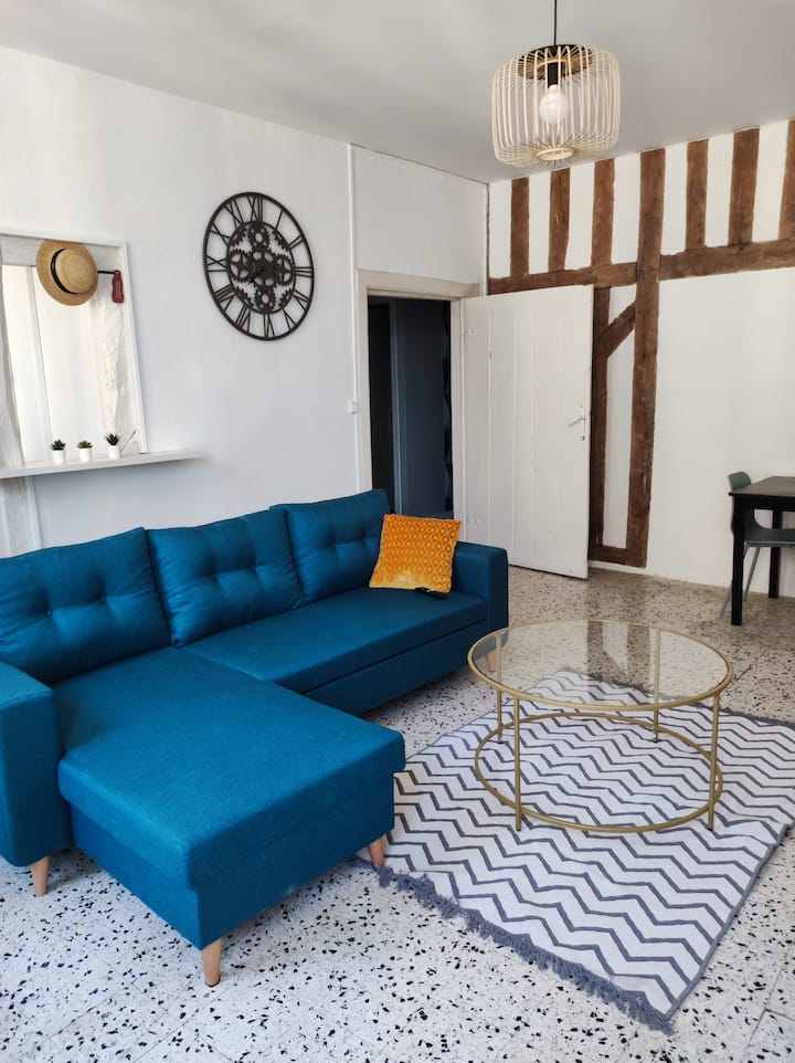 Grand studio au cœur de la ville d'Orléans Appartements à louer à