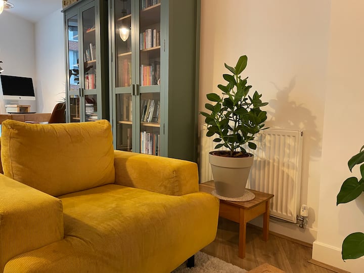 Дневен простор