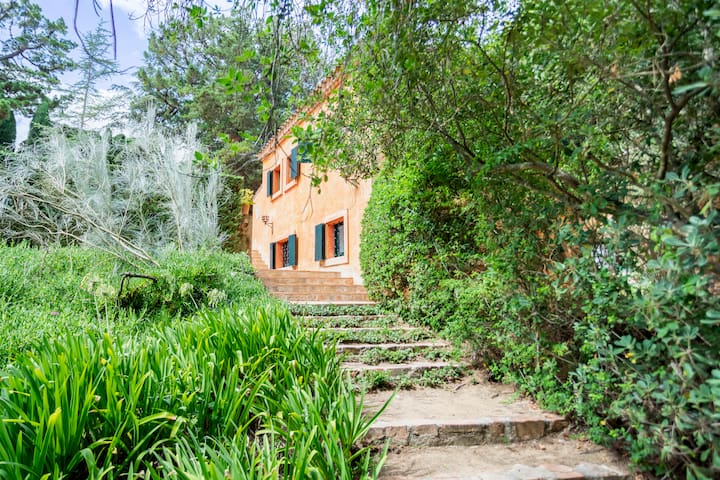 Beach House in a Magnificent Garden gallery image 2