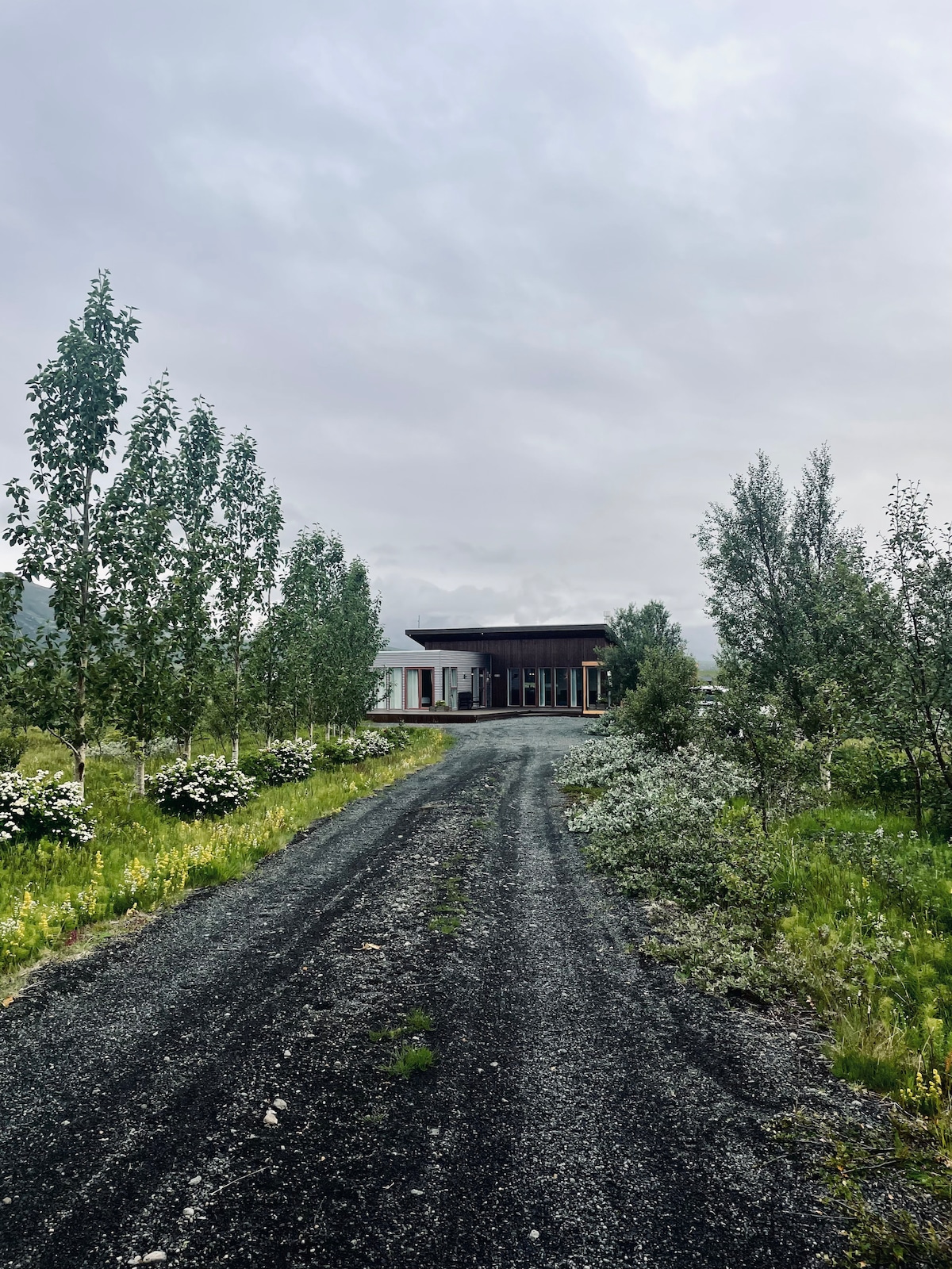 A gravel driveway winds through lush greenery, leading to a modern cabin nestled among trees. The building features a flat roof and large windows, allowing for natural light to filter into the interior. Surrounding flowers add a touch of color to the landscape.