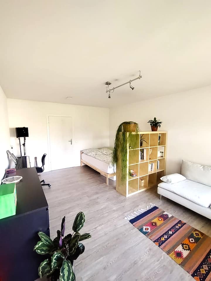 Large apartment with balcony overlooking the forest Apartments for Rent in Freiburg im