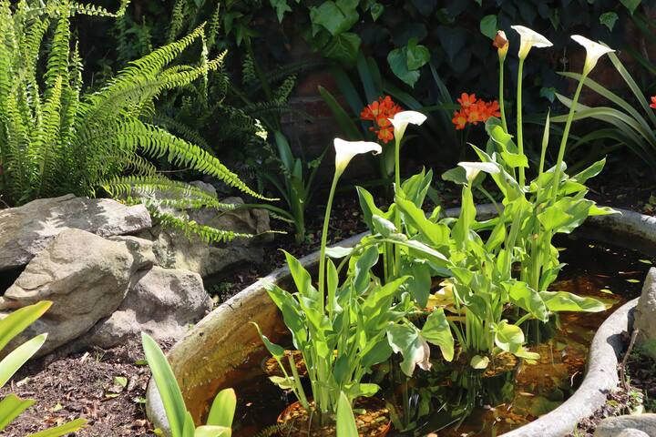 Avós Home with a large private pool and garden gallery image 5