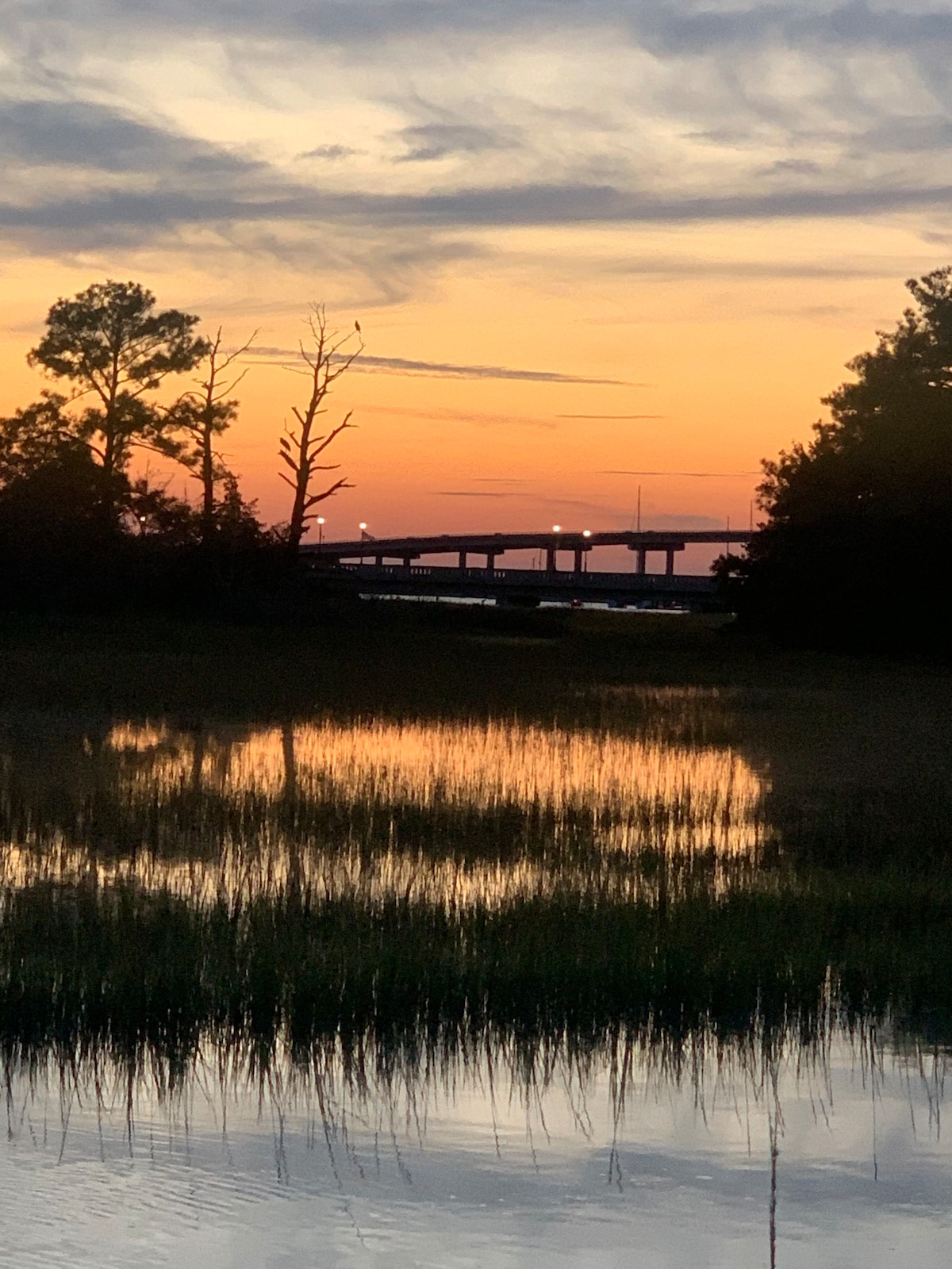 A serene sunset scene is captured over a tidal creek, with reflections of the warm colors in the water. Silhouettes of trees frame the foreground, while a bridge is visible in the distance, illuminated by soft lights against the evening sky.