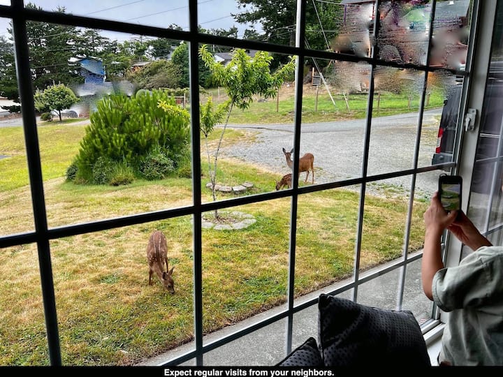 High Tide Hideaway ---- Spacious Three Bedroom - Gold Beach, OR