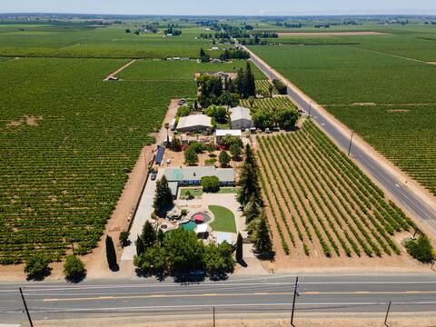 Perfect for family gatherings, large pool/lawn