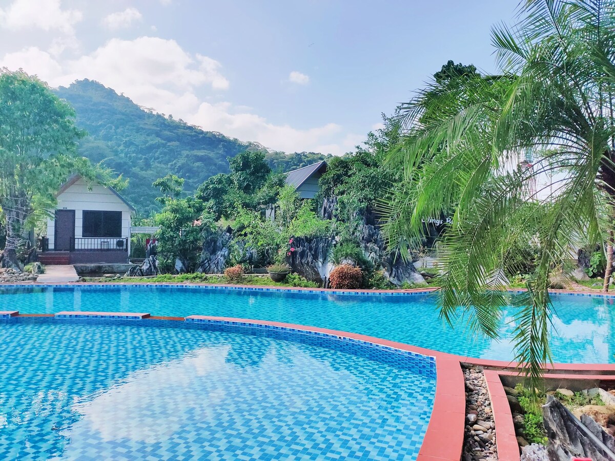 A large swimming pool is surrounded by lush greenery, with palm trees and mountains creating a scenic backdrop. The water reflects a clear, blue sky, and the pool's edge is lined with stones, enhancing the natural setting.