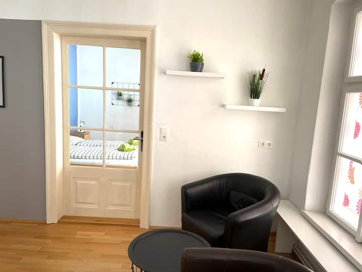 Apartment "Passauer Wolf" Im Zentrum St. Pölten - Sankt Pölten