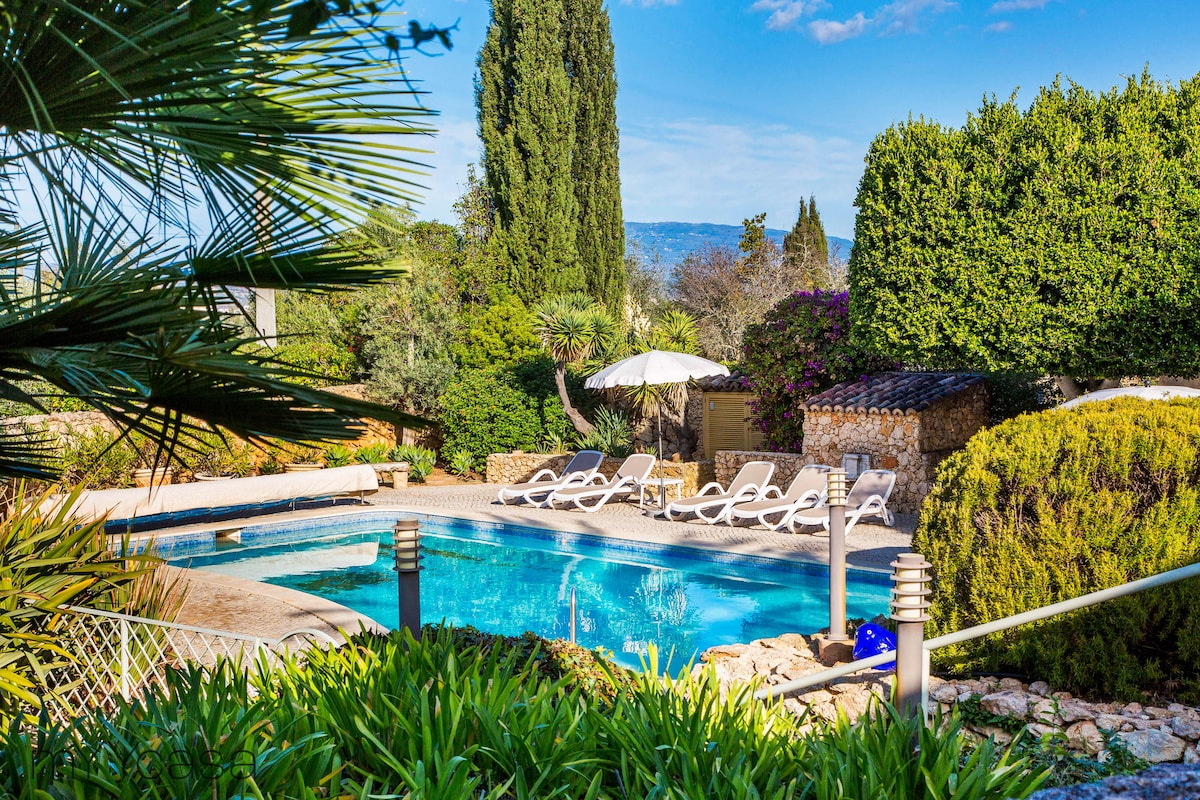 The outdoor area features a serene swimming pool surrounded by lush greenery. Several sun loungers are positioned around the pool, and an umbrella provides shade. Vibrant plants enhance the tranquil environment, while distant hills can be seen under a clear blue sky.