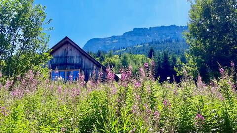 Rustic luxury chalet & spa - 15 ppl max