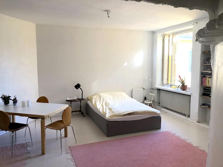 Perfectly located cozy and fun studio apartment Apartments for Rent