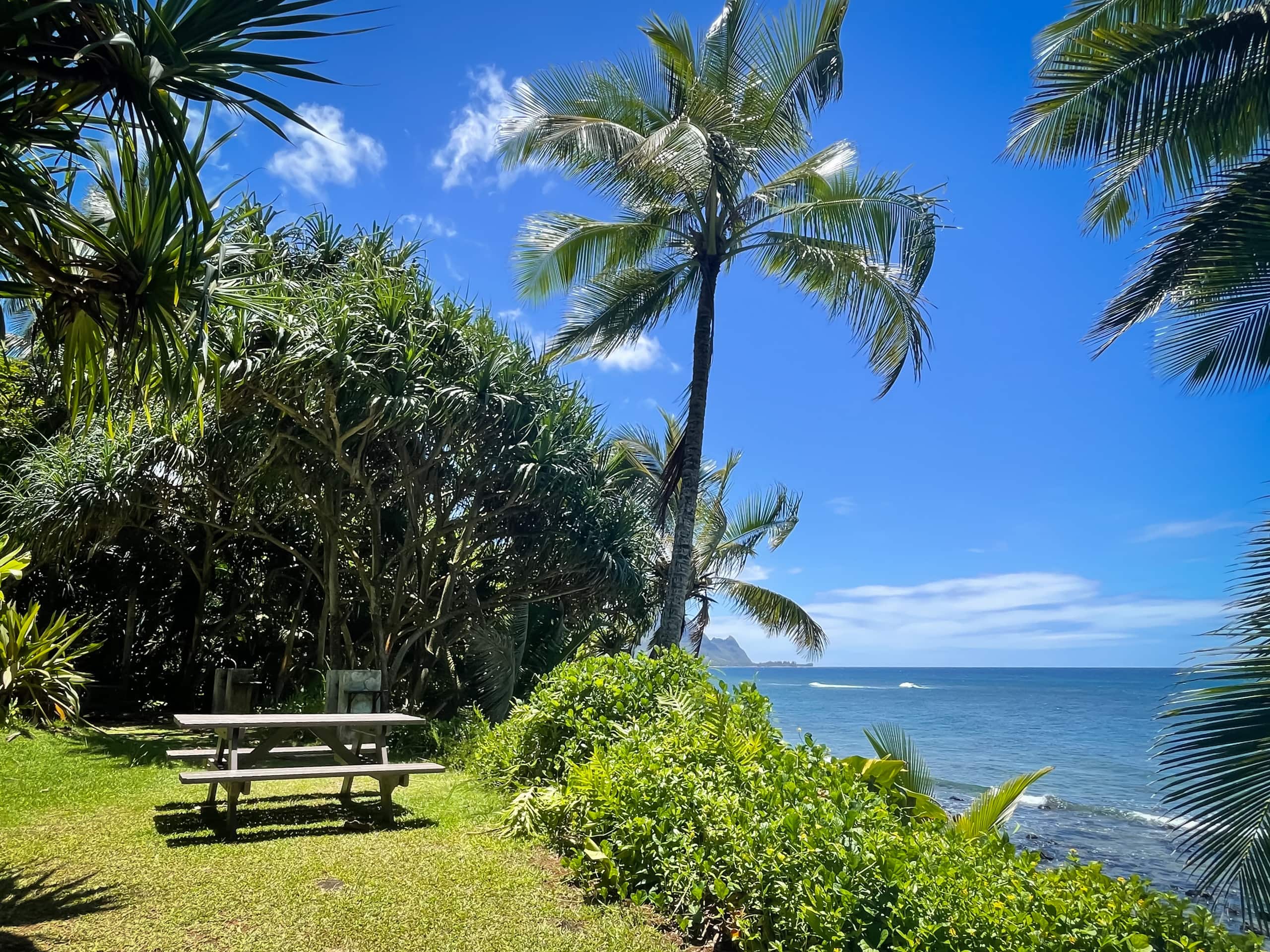 Condo in Princeville · ★4.96 · 2 bedrooms · 3 beds · 2 baths - Image 50