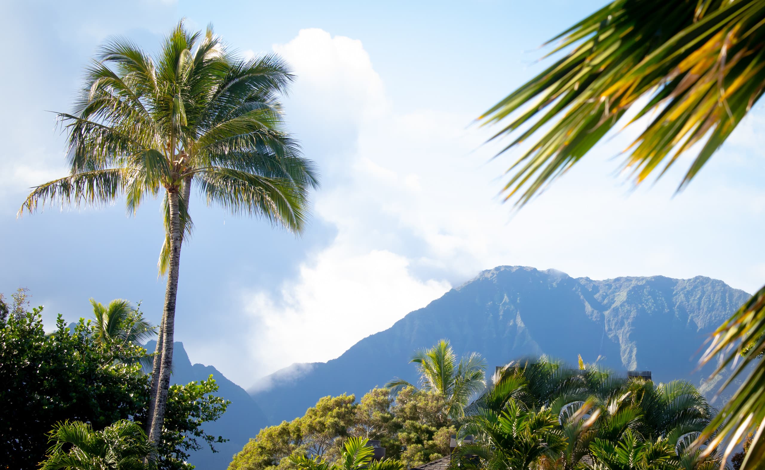 Condo in Princeville · ★4.96 · 2 bedrooms · 3 beds · 2 baths - Image 51