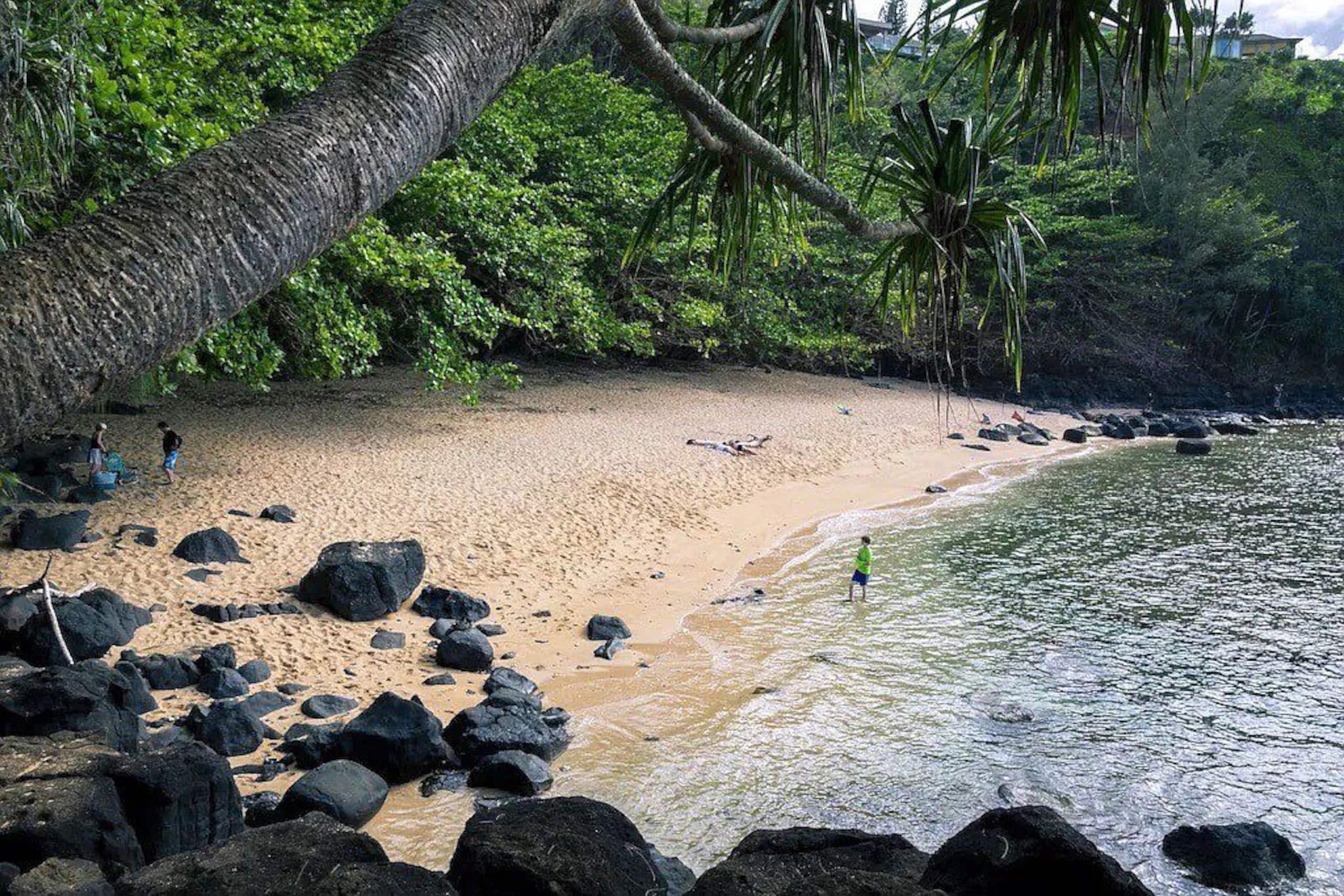 Condo in Princeville · ★4.96 · 2 bedrooms · 3 beds · 2 baths - Image 38