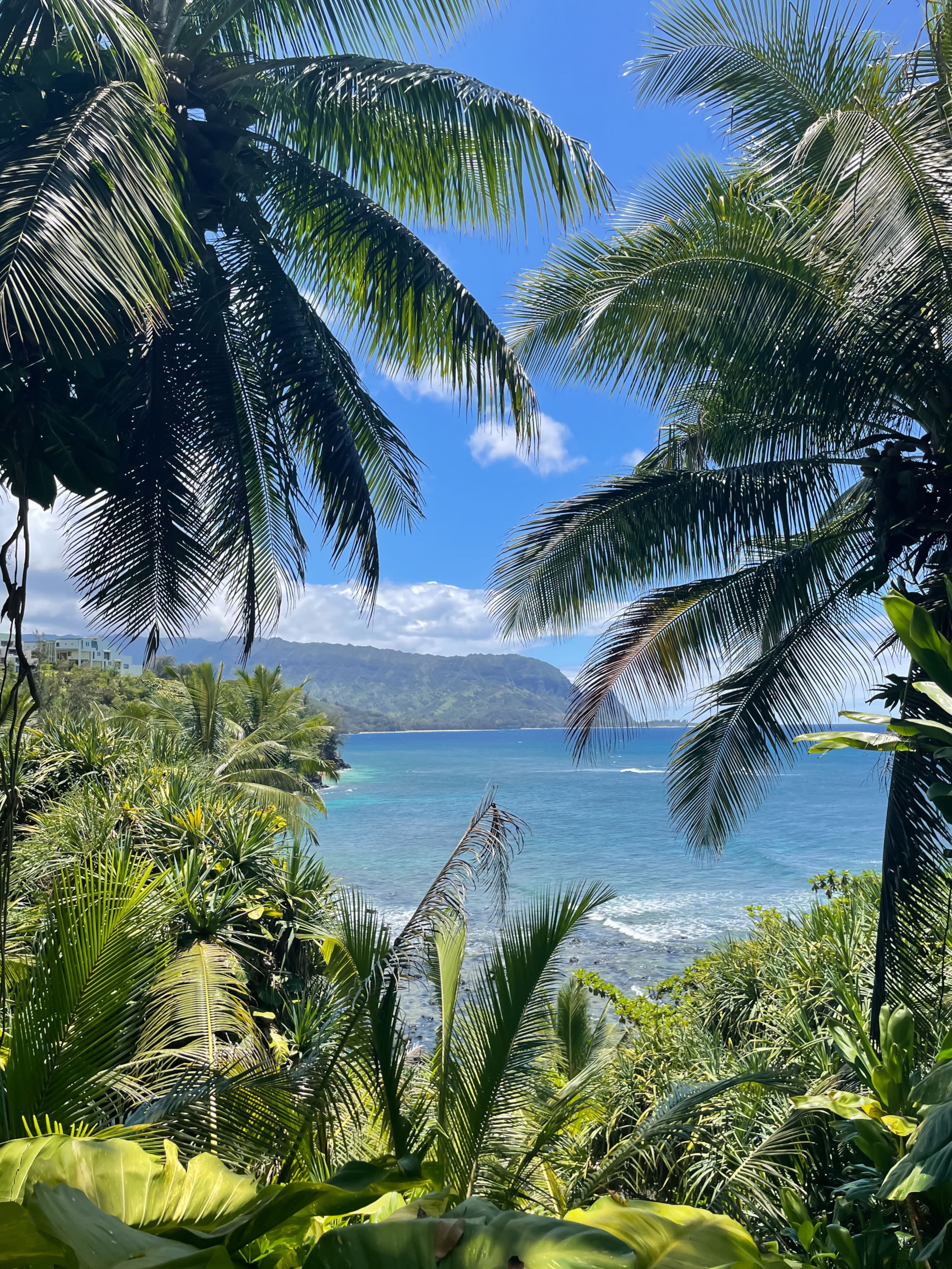 Condo in Princeville · ★4.96 · 2 bedrooms · 3 beds · 2 baths - Image 49