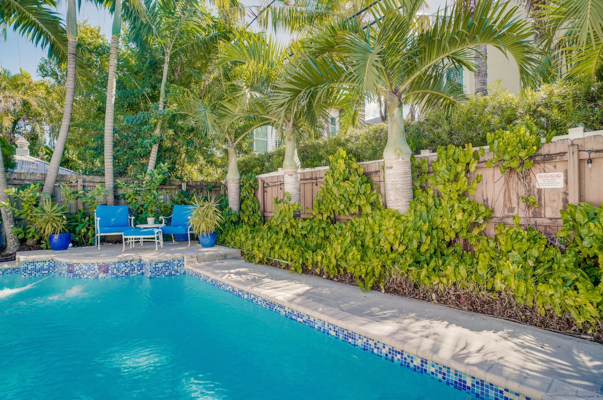 A refreshing pool area is surrounded by lush tropical greenery, featuring two blue lounge chairs placed nearby. The clear blue water invites relaxation under the sunlight, with a tranquil atmosphere enhanced by the surrounding palm trees and vibrant plants.