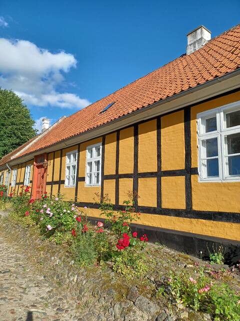 Dejligt rummeligt hus udlejes for min 5 dage