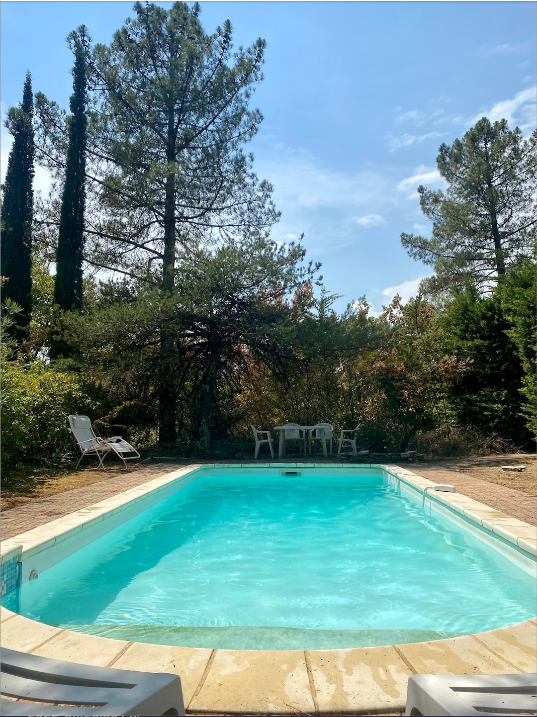 A serene outdoor pool is surrounded by lush greenery, with tall trees framing the scene. Lounge chairs are positioned nearby, and a small dining area with white chairs is visible in the background, creating a tranquil retreat for relaxation.