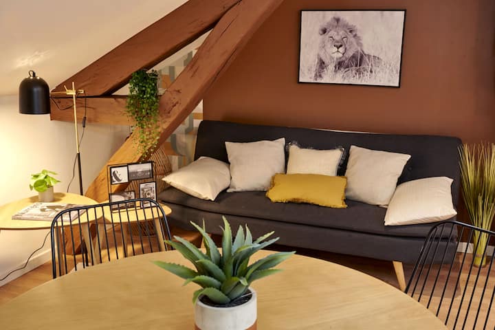 * Magnifique Appartement, Climatisé Et Lumineux * - Périgueux