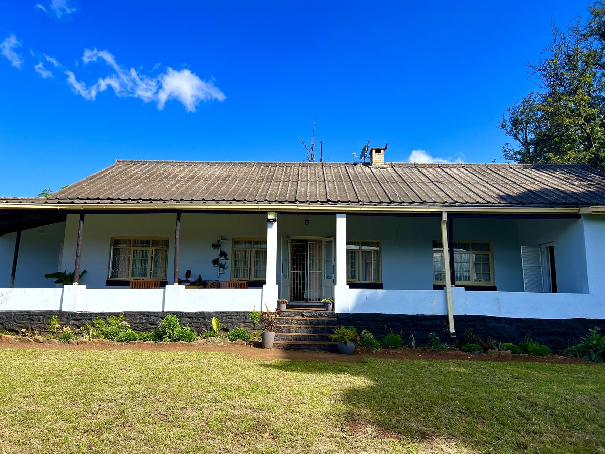 A spacious house is highlighted by a wide porch and a symmetrical facade. The building features a sloping roof, multiple windows, and a well-maintained garden in the foreground. Lush greenery and blue skies create an inviting environment.