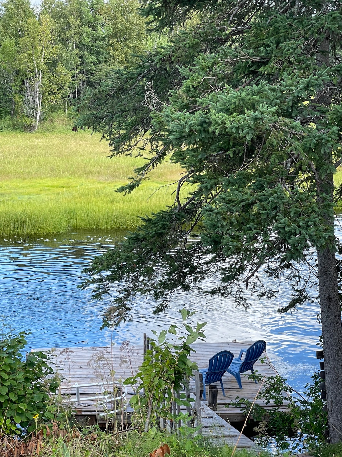 A serene river scene is captured, featuring a wooden dock with two blue chairs positioned beside the calm water. Lush greenery encircles the area, highlighting the natural setting and creating a peaceful atmosphere.