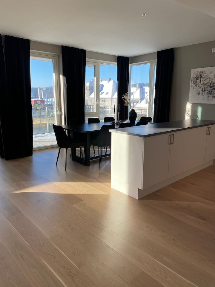 Newer apartment in Lade with free parking Condominiums for Rent in