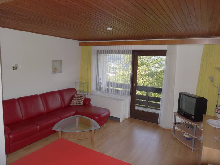 Susanne - Spacious Apartment With Pool & Lake View - Spittal an der Drau