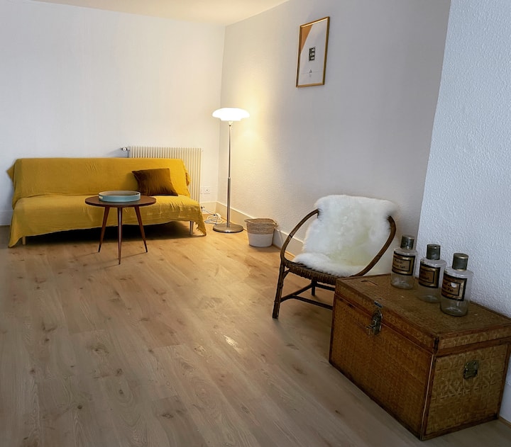 70 M2: Immeuble Caractère Calme Centre Historique - Clermont-Ferrand