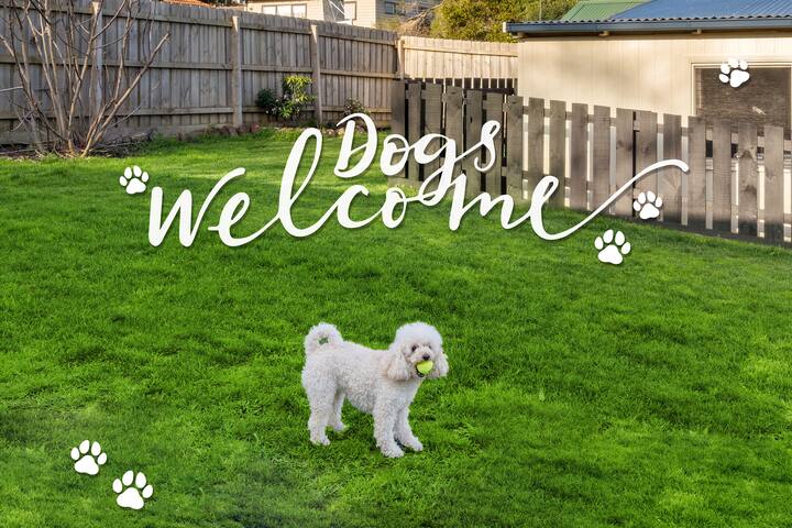 Sold Mooroolbark Pet Friendly 4 Bedroom House gallery image 2