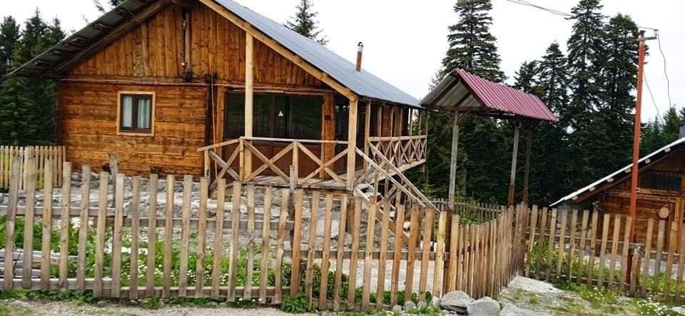 A wooden cabin is set among tall evergreen trees, showcasing a welcoming porch and a staircase leading to the entrance. A wooden fence surrounds the property, and the roof features a sloped design. Gravel pathways and landscaped areas with greenery are visible.