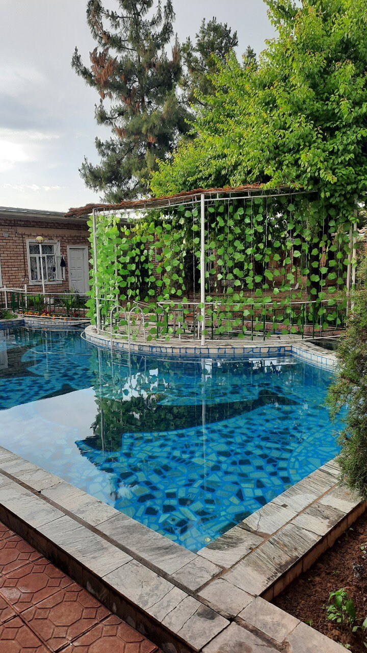 A clear blue pool reflects the surrounding greenery, showcasing a tranquil space for relaxation. Lush vines cascade over a pergola adjacent to the water, creating a serene atmosphere. The pool is framed by a stone border and complemented by manicured foliage.