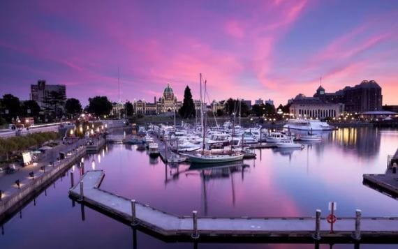 A serene marina at dusk showcases a collection of sailboats anchored in placid waters. The sky is painted in hues of purple and pink, reflecting on the surface. The historic structures of downtown Victoria are visible in the background, complementing the tranquil scene.