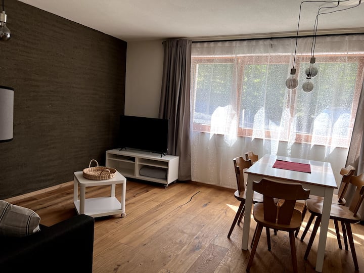 Neues, Schönes Appartement In Den Bergen - Dornbirn