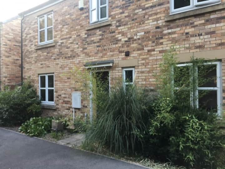 Lovely room close to centre of Newcastle Houses for Rent in Tyne and