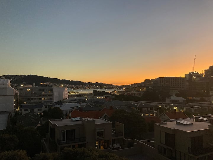 Free Carpark, Close To City & Ferry, Views & Patio - ニュージーランド ウェリントン