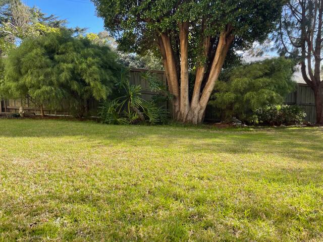 Cosy Home of Artist with Panoramic Tree Top View gallery image 4