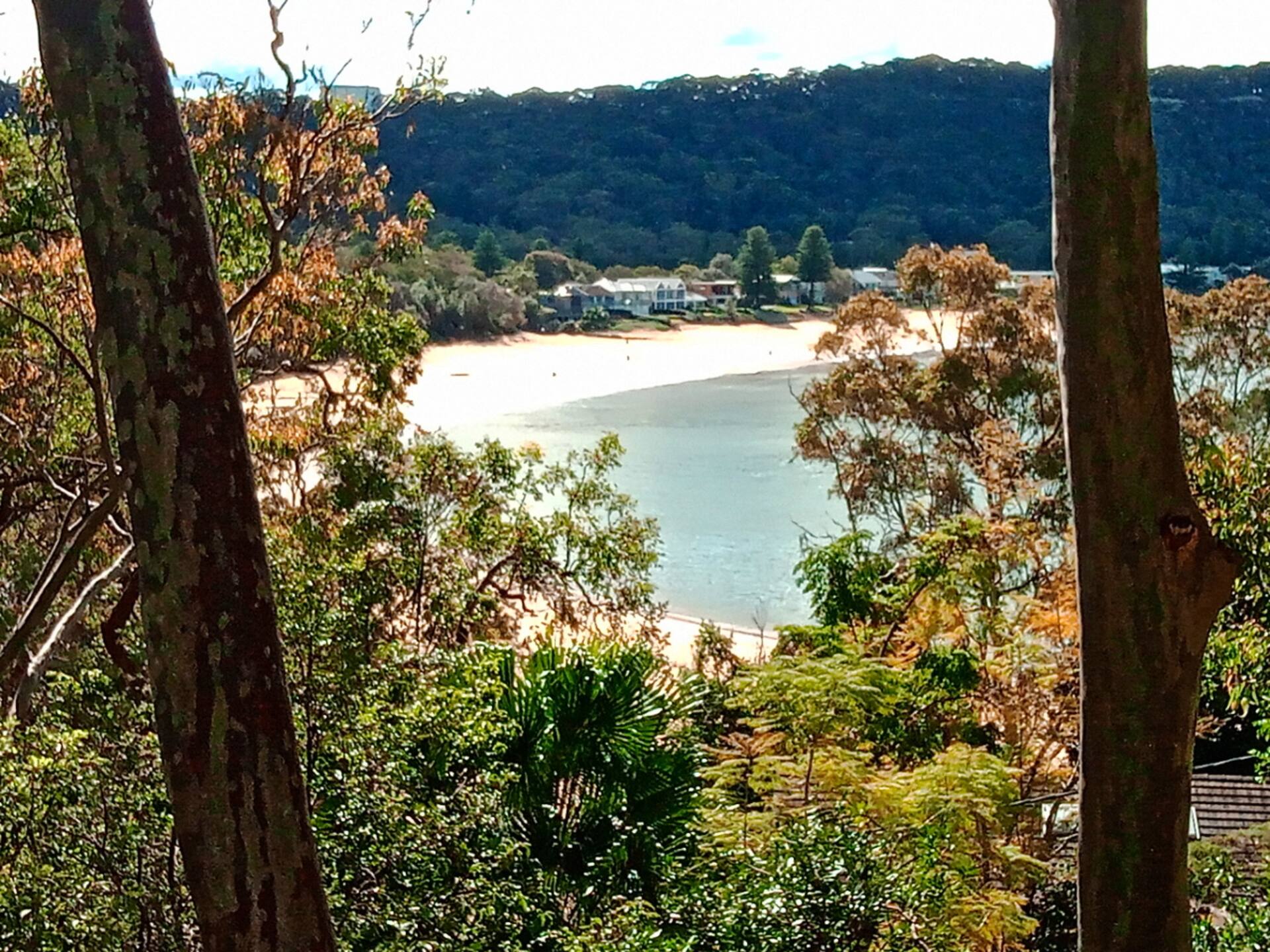 Corymbia - unique blend of beach and native bush.