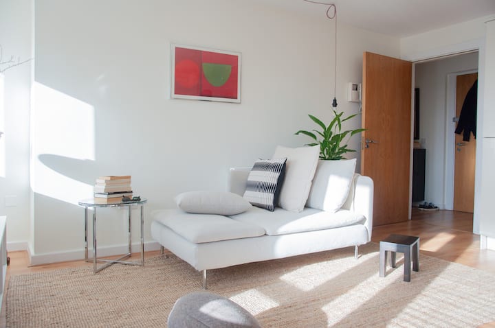 Two Bedroom Apartment With Canal View - Dublin