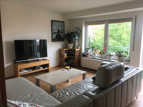 Top Airbnb: Apartment in the green east of Dresden with Elbe view in Dresden