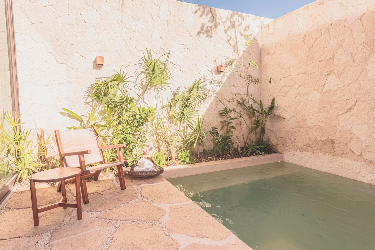 A private outdoor space features a small pool surrounded by natural stone walls, providing a serene atmosphere. Two wooden chairs sit thoughtfully placed on a stone patio, facing lush greenery and tropical plants that enhance the natural setting.