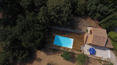 Louis's Cabin
