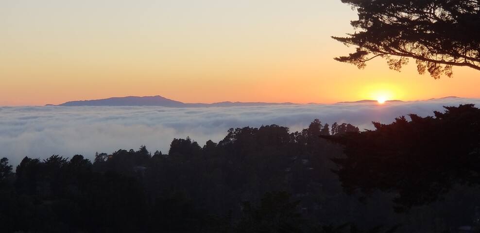 Spectacular Bay Views, Steps from Redwood Park! gallery image 2