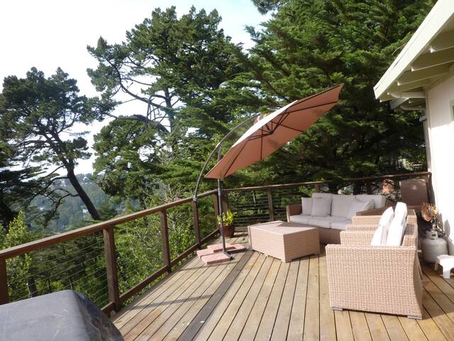 Spectacular Bay Views, Steps from Redwood Park! gallery image 3