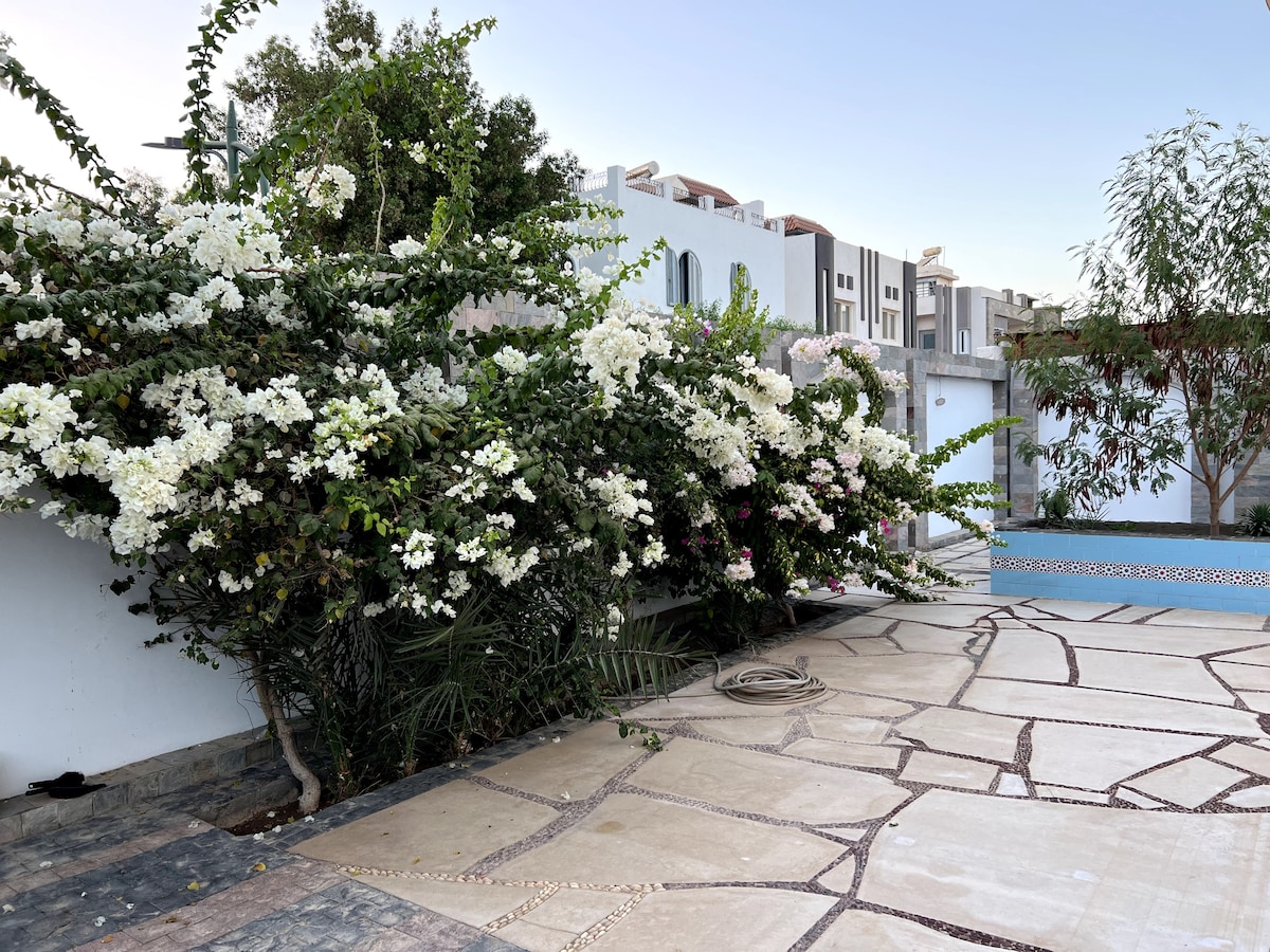 A landscaped area features lush greenery and abundant flowering plants against a backdrop of a well-maintained tiled patio. A private pool is visible in the distance, complementing the tranquil outdoor space surrounded by the villa's walls.