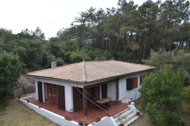 Jolie Maison Et Grand Jardin Aux Pieds Des Dunes - 費拉角