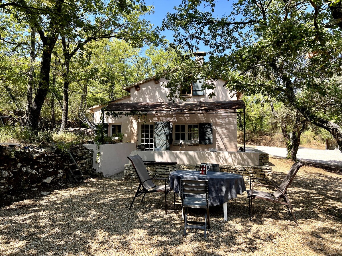 The exterior of the home features a charming facade framed by trees, with outdoor seating around a circular table. Sunlight filters through the leaves, casting dappled shadows on the ground. A quiet, gravel pathway leads to the entrance of the house.