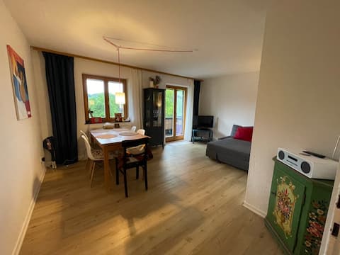 Popular Airbnb listing: my home, your home in Mittenwald